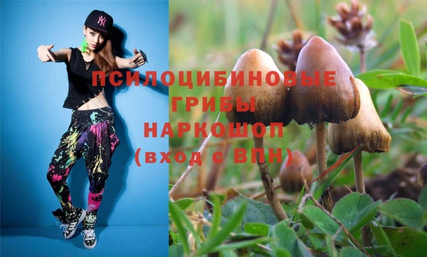 эйфоретик Бронницы